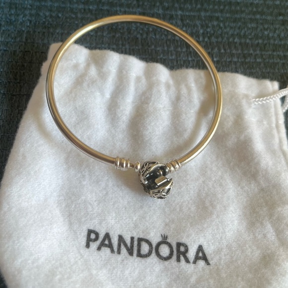Pandora Moments Bangle - Sterling Silver - Picture 4 of 5